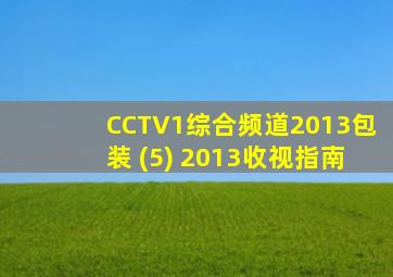 CCTV1综合频道2013包装 (5) 2013收视指南